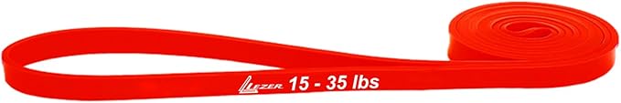 LEZER Resistance Bands - Pull Up Bands for Home Gym Fitness, Stretching, Physical Therapy & Training - Includes Instruction