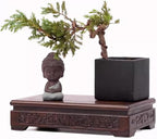 GOLDY&WENDY Solid Wood Display Stand Square Rosewood Hand-Carved Vase Lamp Buddha Statue Display Risers Home Decor Pedestal Base