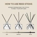 COCODOR Signature Reed Diffuser Set/Woody Hotel / 6.7oz /1 Pack/Home Fragrance Diffuser, Oil Scent Diffuser for Bathroom Shelf Decor