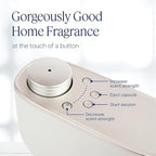 Aera Mini Home Hygiene Citrus and Sage - Essential Oil for Home - Fresh Zest Fragrance - Notes of Lemon, Lime and Geranium - Scent Refill - Capsule Size Works with Mini Diffuser