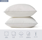 Leeden 22 x 22 Pillow Inserts (Set of 2) - Throw Pillow Inserts with 100% Cotton Cover - 22 Inch Square Decorative Pillows for Sofa, Couch, Bed and Home Decor