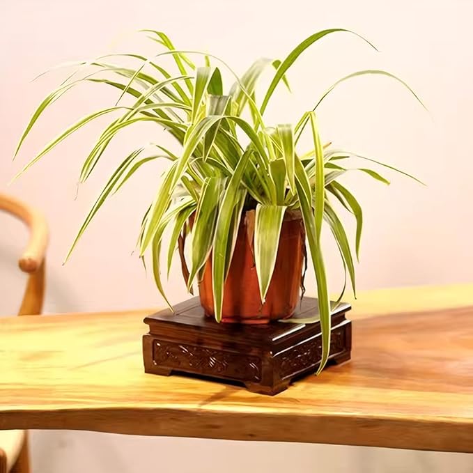 GOLDY&WENDY Chinese Solid Wood Display Stand Square Rosewood Indoor Home Deocr Pedestal Base for Vase Teapot Fishbowl