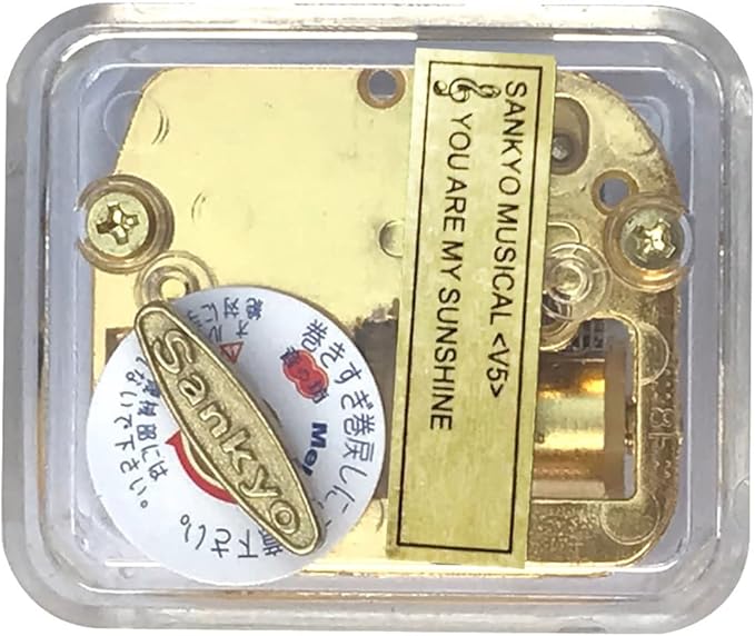 BinkeGG Play (Hedwigs Theme) Clear Acrylic Wind up Music Box with Sankyo Musical Movement (65 Tunes Option)