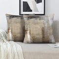 Beige Abstract Art Artwork Pillow Cover, Gallery Modern Decorative Throw Pillows Cushion Cover for Bedroom Sofa Living Room 26 x 26 Inch Set of 2