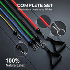 VEICK Resistance Bands, Exercise Bands, Workout Bands, Resistance Bands for Working Out with Handles for Men and Women, Exercising Bands for Fitness Weights Work Out at Home