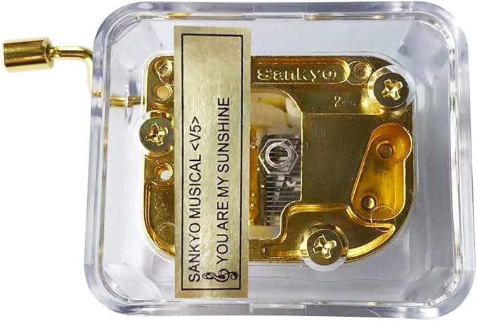 BinkeGG Play (Memory) Clear Acrylic Hand Crank Music Box with Sankyo Musical Movement (65 Tunes Option)