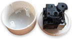 BinkeGG Play (Canon in D Major) Plastic Rotating Music Box with Sankyo Musical Movement (65 Tunes Option)