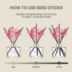 COCODOR Reed Diffuser Set with Preserved Baby's Breath with Sticks/April Breeze / 6.7oz / Scent Fragrance Oil Diffuser for Bedroom Bathroom Home Decor