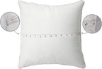 Leeden 18 x 18 Pillow Inserts (Set of 2) - Throw Pillow Inserts with 100% Cotton Cover - 18 Inch Square Decorative Pillows for Sofa, Couch, Bed and Home Decor