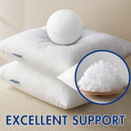 MIULEE Pillow Insert 20x26 Inch, Decorative Rectangle Throw Pillow Inserts, Premium Fluffy Pillow Forms Sham Stuffer for Sofa Couch Living Room