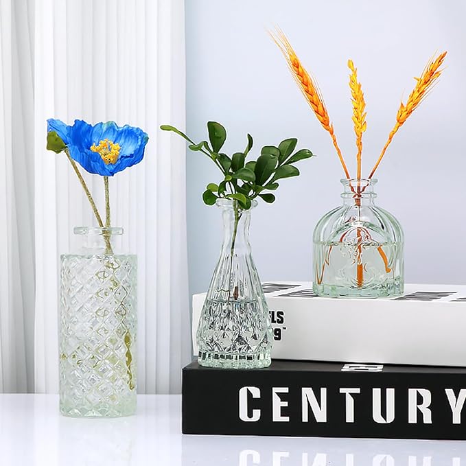 Brajttt Clear Flower Vase Set, Glass Bud Vase in Bulk Set of 8,Artistic and Cultural Flavor Mini Vases for Home Office Decor, Bedroom, Office, Living Room Decorations,Wedding