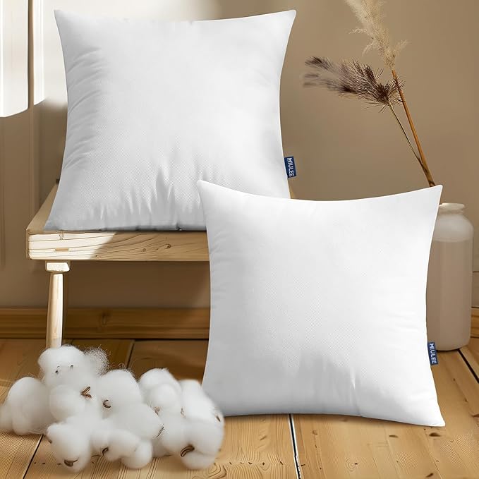 MIULEE Set of 2 Throw Pillow Inserts 20x20 Inches, Nowoven Decorative Pillow Inserts for Living Room