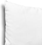 EDOW Throw Pillow Insert, Lightweight Soft Polyester Down Alternative Decorative Pillow, Sham Stuffer, Machine Washable. (White, 16x16)