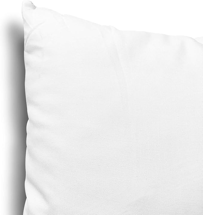 EDOW Throw Pillow Insert, Lightweight Soft Polyester Down Alternative Decorative Pillow, Sham Stuffer, Machine Washable. (White, 16x16)