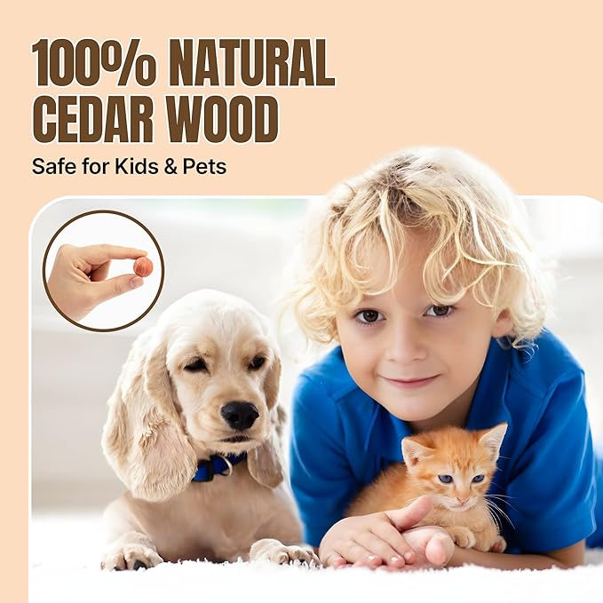 50 Cedar Balls for Clothes - Fresh Smell for Closets and Drawers - Protection for Garments - Cedarwood Closet Freshener & Protects from Moths - Wood Block for Drawer & Storage