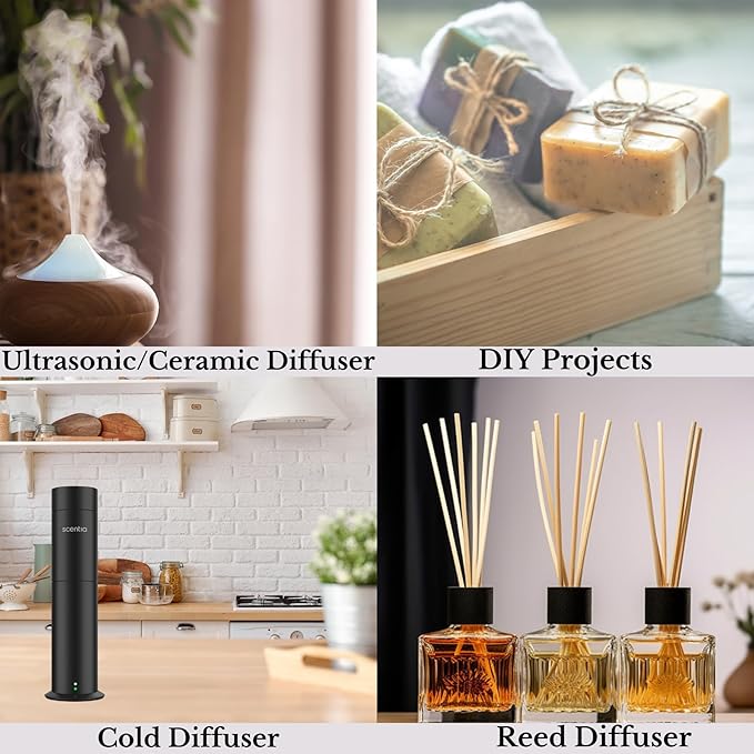 Scentia Hotel Diffuser Oil Inspired by The Hotel Costes Paris Scent - 50 mL 1.69 fl oz - Fragrance Oil Blend Rose, Clove & Sandalwood for Aromatherapy Diffuser & Humidifiers -Paris, Thanksgiving Gift
