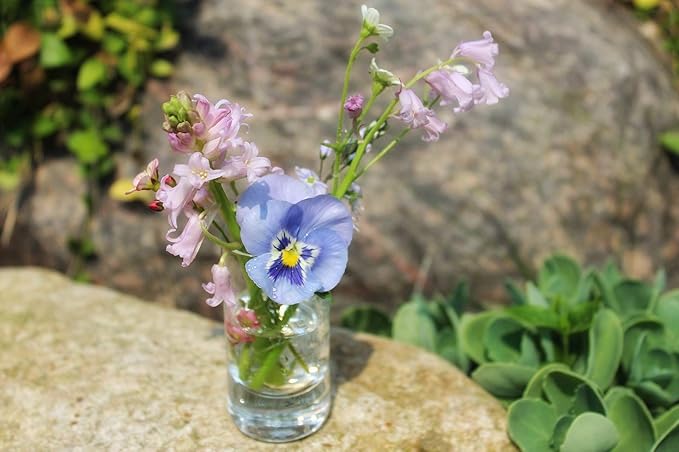 WGVI Quality Thick Weighted Clear Cylinder Glass Vases, 4" W x 6" H, Flower Arrangement Glass Candle Holders Wedding Centerpieces Terrarium Planter Pen Brush Storage Container, Bulk Wholesale, 12 Pcs