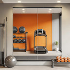 TRAHOME Home Gym Mirror for Wall,56x28x2PCS Full Length,Glass Frameless Body Large Mirror for Home Gym,Workout,Bedroom,Garage(Black)
