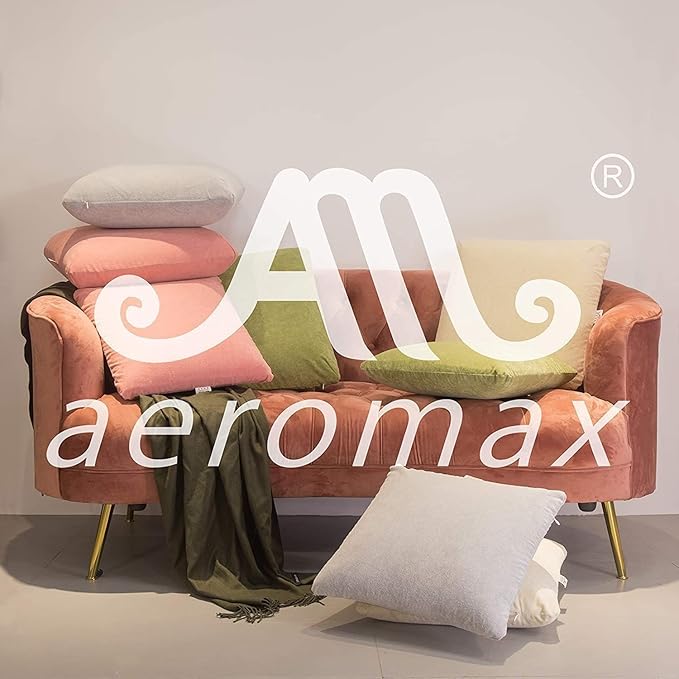 AM AEROMAX 22 ×22 Pillow Insert (Pack of 2) Memory Foam Throw Pillow Insert Sham Square for Decorative Cushion Bed Couch Sofa Without Deform After Longtime Use