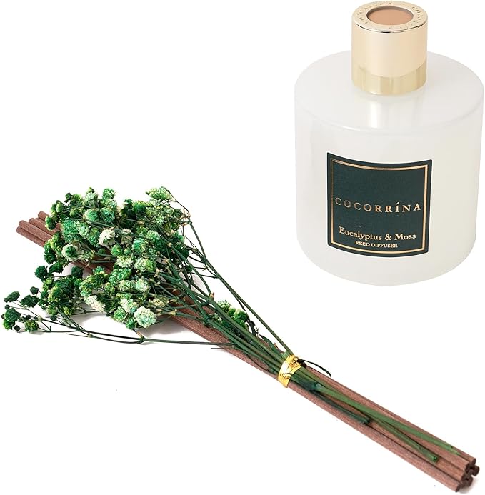 Cocorrína Reed Diffuser Sets- Eucalyptus & Moss Scented Diffuser with Sticks Home Fragrance Reed Diffuser for Bathroom Shelf Decor