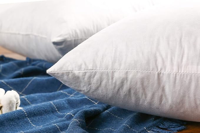 JA COMFORTS 22×22 Premium Goose Down Feather Throw Pillow Inserts(Set of 2)-5% Down Filling,High Filling Weight,250 TC Cotton Cover, Square, White