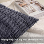 Aegero Pack of 2 Corduroy Decorative Throw Pillow Covers 20x20 InchSoft Striped Pillow Covers Modern Farmhouse Home Decor for Sofa Living Room Couch Bed（Dark Grey）