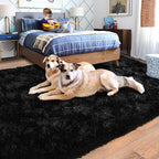 Rugs for Living Room 6x9, Soft Shaggy Modern Shag Black Area Rug for Bedroom, Upgrade Non-Slip Plush Fluffy Carpet for Kids Boys Girls Room Dorm Home Decor Aesthetic