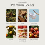 Drift Home Scent Diffuser Starter Kit in Cabana - Adjustable and Long Lasting Diffuser Aroma - Clean Ingredients, Pet Safe