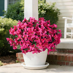 Faux Bougainvillea Artificial Spring Flowers for Outdoors, 4 Bundles Fake Bougainvillea Outdoor Plants Silk Flowers for Outside UV Resistant for Outdoor Planters Porch Patio Window Box Garden Decor