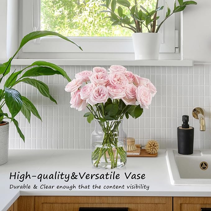 Clear Glass Vase, Large Flower Vase, 8-inch Glass Flower Vase for Plants, Wide Mouth Vase for Home, Wedding, Living Room, Dining Table