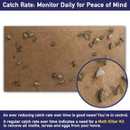 Clothes Moth Trap Replacement Strips (6 Strips in Total) - Refills for MothPrevention Moth Traps - for Closets & Clothing