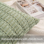 Aegero Pack of 2 Corduroy Decorative Throw Pillow Covers 22x22 Inch Soft Striped Pillow Covers Modern Farmhouse Home Decor for Sofa Living Room Couch Bed（Blackish Green）