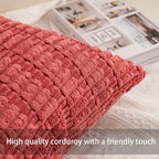 Aegero Pack of 2 Corduroy Decorative Throw Pillow Covers 22x22 Inch Soft Striped Pillow Covers Modern Farmhouse Home Decor for Sofa Living Room Couch Bed（Cranberry Red）