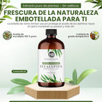 NaturoBliss 100% Pure Natural Undiluted Eucalyptus Essential Oil (4oz) Premium Therapeutic Grade Aromatherapy