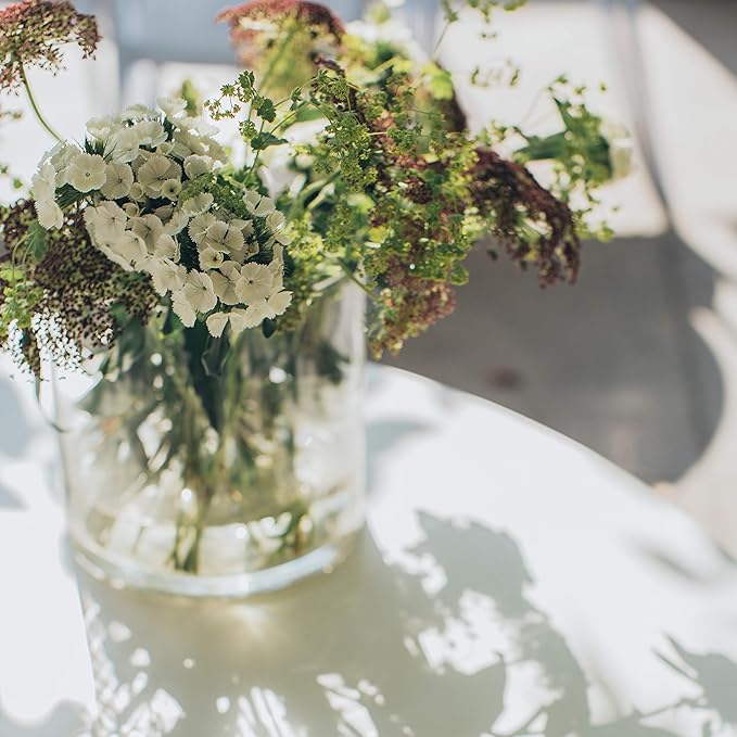 WGV Cylinder Vase Bulk, Width 7", Height 7", Clear Wide Large Diameter Flower Glassware, Floral Container, Planter Terrarium for Wedding Party Event, Home Accent Decor, 6 Pieces