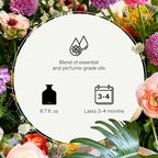 Apotheke Luxury Scented Oil Reed Diffuser Liquid Refill (Wild Mint & Ivy) - Premium Home Fragrance Diffuser Refill Set with Sticks