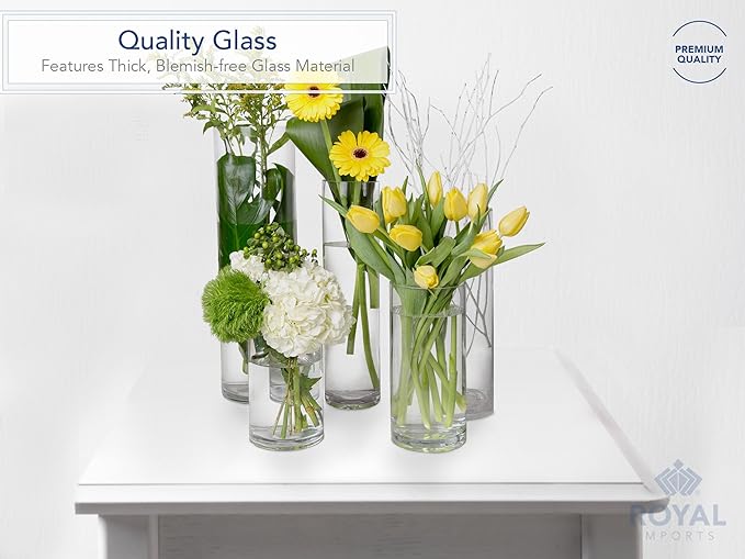 Royal Imports Flower Glass Vase Decorative Centerpiece for Home or Wedding - Cylinder Shape, 5"x5", Clear