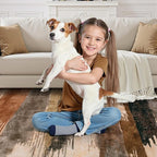 Ciicool Abstract Area Rug Indoor, 4x6 Washable Entryway Rug, Modern Soft Throw Entry Rug with Non-Slip Backing for Bedroom Living Room Entrance Kitchen, Low-Pile Floor Carpet Doormat Brown Black