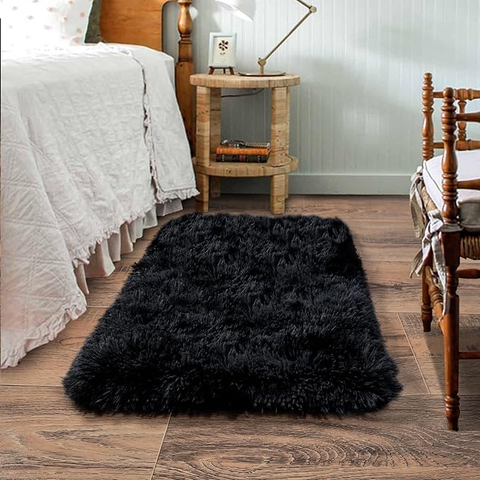 Small Black Area Rug, 2x3 Rug for Bedroom Shaggy Throw Rugs for Dorm Rug, Soft Shag Carpet for Kids Room, Plush Comfy Fluffy Bedside Rug for Home Decor Aesthetic