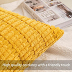 Aegero Pack of 2 Corduroy Decorative Throw Pillow Covers 16x16 Inch Soft Striped Pillow Covers Modern Farmhouse Home Decor for Sofa Living Room Couch Bed（Yellow）