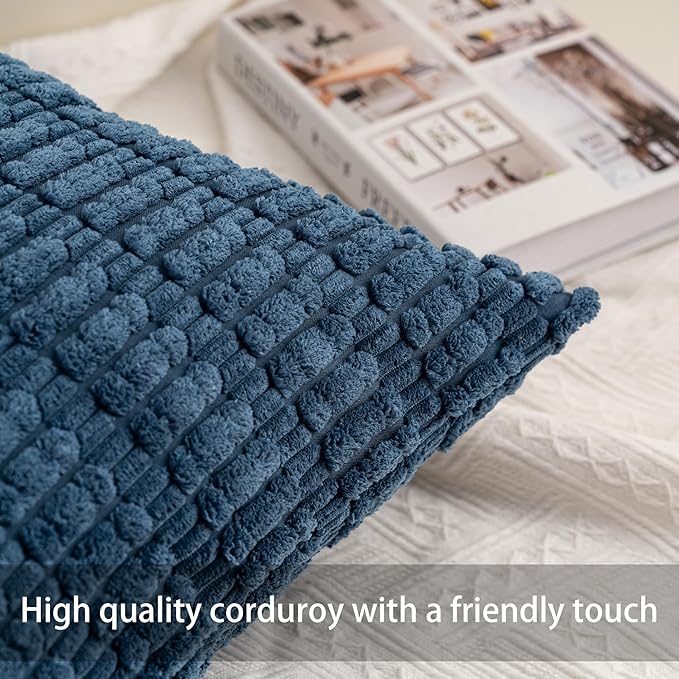 Aegero Pack of 2 Corduroy Decorative Throw Pillow Covers 12x24 Inch Soft Striped Pillow Covers Modern Farmhouse Home Decor for Sofa Living Room Couch Bed（Sky Blue）