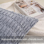 Aegero Pack of 2 Corduroy Decorative Throw Pillow Covers 24x24 InchSoft Striped Pillow Covers Modern Farmhouse Home Decor for Sofa Living Room Couch Bed（Light Grey）