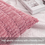 Aegero Pack of 2 Corduroy Decorative Throw Pillow Covers 22x22 Inch Soft Striped Pillow Covers Modern Farmhouse Home Decor for Sofa Living Room Couch Bed（Pink）