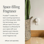 Pura & GUY FOX Home Scent Refill - Smart Home Air Diffuser - Long-Lasting Luxury Fragrance per Refill - Household & Apartment Essential - Clean Diffuser Fragrance - 2 Pack, Del Mar