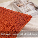 Aegero Pack of 2 Corduroy Decorative Throw Pillow Covers 18x18 Inch Soft Striped Pillow Covers Modern Farmhouse Home Decor for Sofa Living Room Couch Bed（Peach Red）