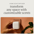Drift Home Scent Diffuser Starter Kit in Cabana - Adjustable and Long Lasting Diffuser Aroma - Clean Ingredients, Pet Safe