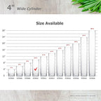 WGVI Quality Thick Weighted Clear Cylinder Glass Vases, 4" W x 10" H, Flower Arrangement Floating Candle Holders Wedding Centerpieces Terrarium Planter Floral Storage Container, Bulk Wholesale, 6 Pcs