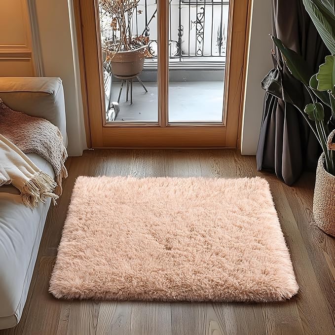 Small Area Rug, 2x3 Rug for Bedroom Shaggy Throw Rugs for Dorm Rug, Soft Shag Carpet for Kids Room, Plush Comfy Fluffy Bedside Rug for Home Decor Aesthetic, Camel