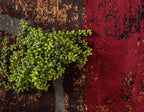 Unique Loom Barista Collection Area Rug - Kouillou (3' 1" x 5' 3" Rectangle, Multi/ Brown)